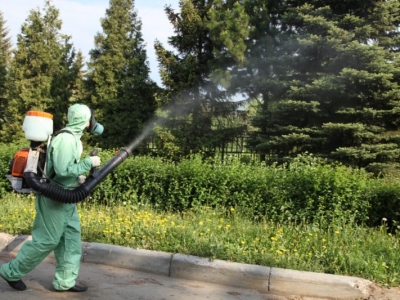 Уничтожение комаров в Электрогорске